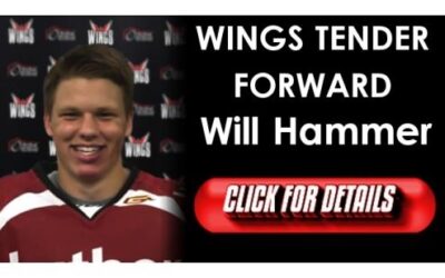 Wings Tender Forward