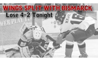 Wings Split With Bismarck, Lose 4-2
