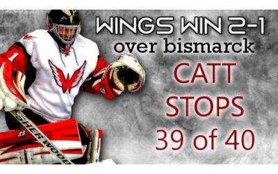 Happy New Years! Wings Win 2-1
