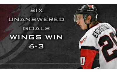 Wings Score 6 Unanswered, Win 6-3