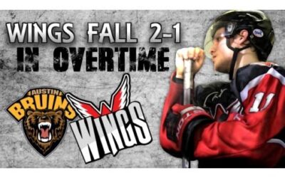 Wings Lose 2-1 in Overtime