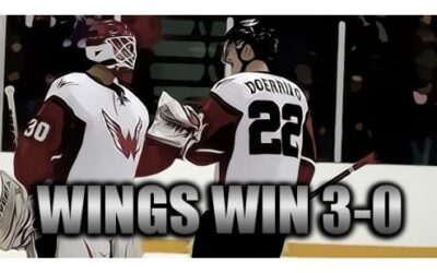 Wings Win 3-0, Dill Records Shutout