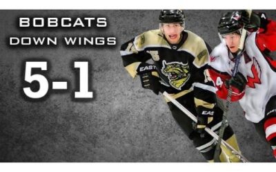Wings Fall 5-1, Down 2 Games In Series