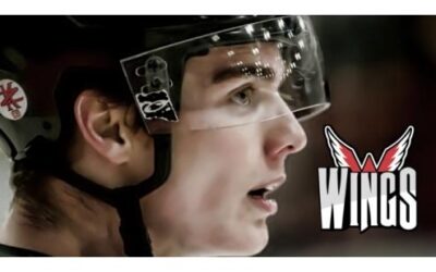 Thank You Wings Fans, Sponsors