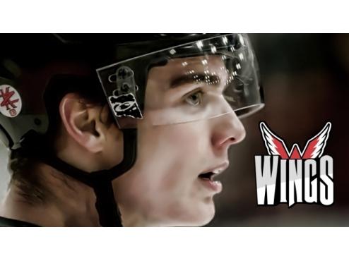 Thank You Wings Fans, Sponsors