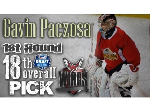 Wings Draft Goalie Paczosa – 1st Round