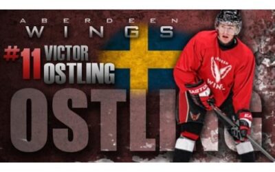 Wings Sign Swedish Forward