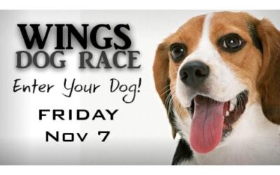 Wings Dog Race – Friday, Nov 7