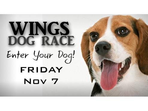 Wings Dog Race – Friday, Nov 7