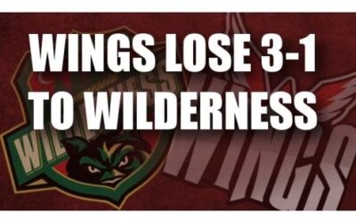 Wings Drop Game 3-1 To Wilderness