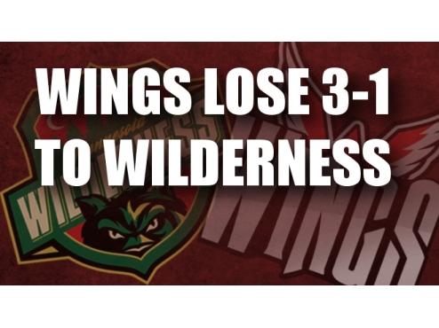 Wings Drop Game 3-1 To Wilderness