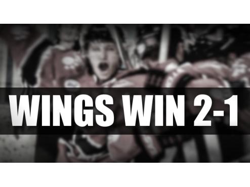 Wings Win 2-1, Fans Support Local Organization