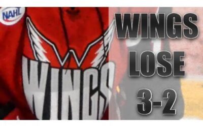 Wings Lose To Brookings 3-2