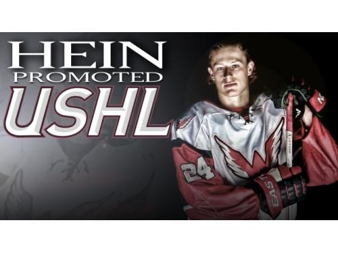 Hein Promoted To The USHL