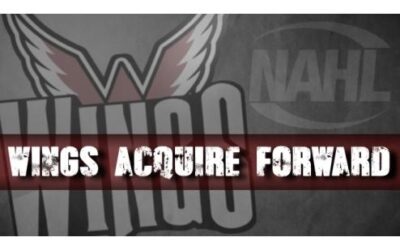 Wings Trade For Forward Matt Pulver