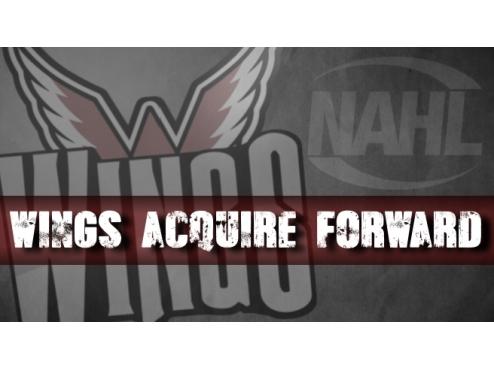 Wings Trade For Forward Matt Pulver