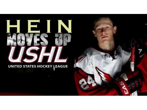 Hein Moves Up To USHL