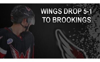 Wings Fall 5-1 To Blizzard