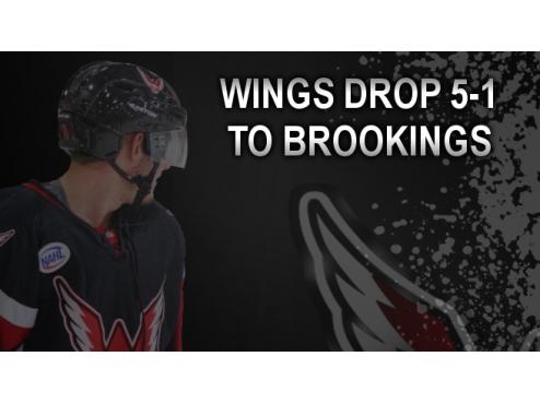 Wings Fall 5-1 To Blizzard