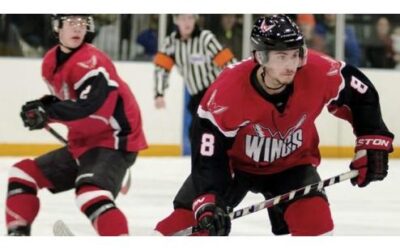 Wings Win Big, 6-1 Over Brookings