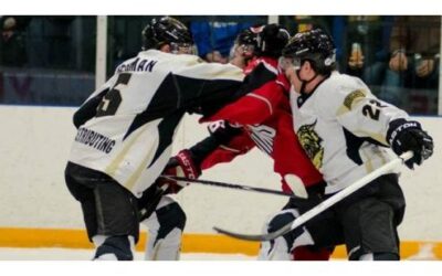 Wings Can't Tame Bobcats, Lose 5-2