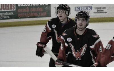 Wings Fall Again 3-1