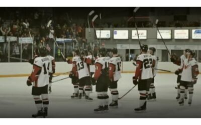 Wings win big for crowd 6-2