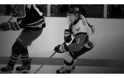 Wings Fall 3-2 To Minot