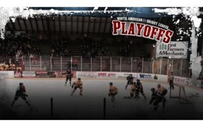 Hammer Scores A Hat-Trick, But Wings Lose 8-5