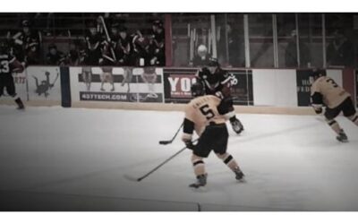 Wings Shutout 4-0, Game 2 NAHL Central Playoffs