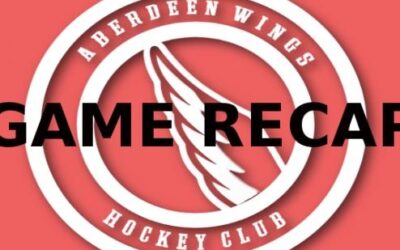 Wings Fall to Blizzard 4-1
