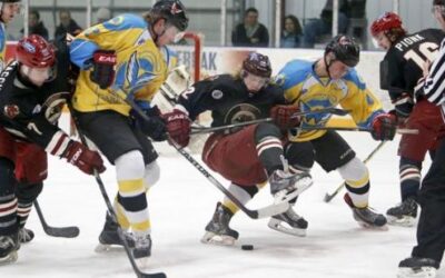 Wings earn a point in emotional weekend home stand