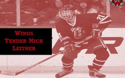 Wings Tender Leitner