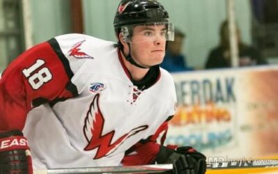 Fitz scores twice, wings win in ot