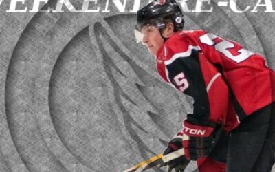 Wings Split Weekend