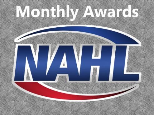 Pulver, Okeson, & Thome Earh Honorable Mention