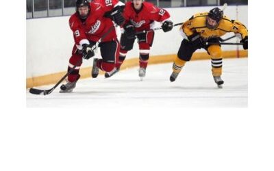 Wings Win 4-3 Thriller