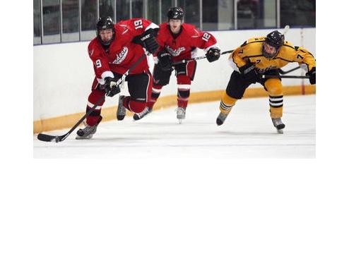 Wings Win 4-3 Thriller