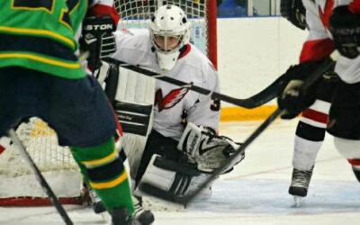 Wings Fall To Brookings 3-1