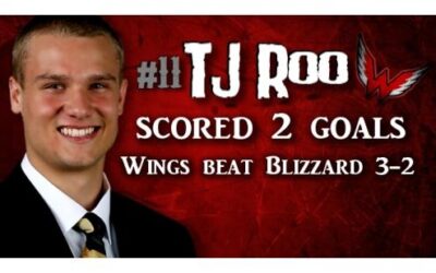Wings beat Blizzard 3-2