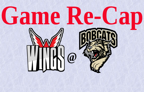 Wings Fall in Season Opener