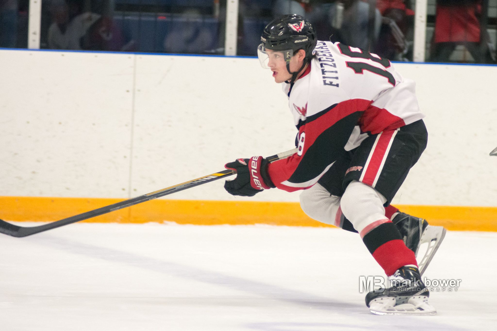 16252380_1328536920536318_1978789116513476304_o