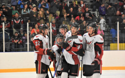 Game Day!  Wings vs. Bobcats!