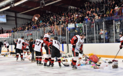 Wings Split Weekend With Bismarck!