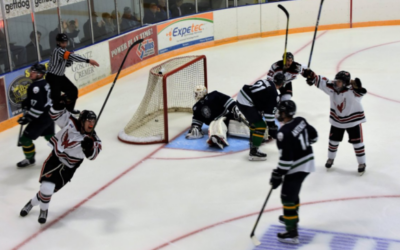 Wings Beat Brookings 3-1!