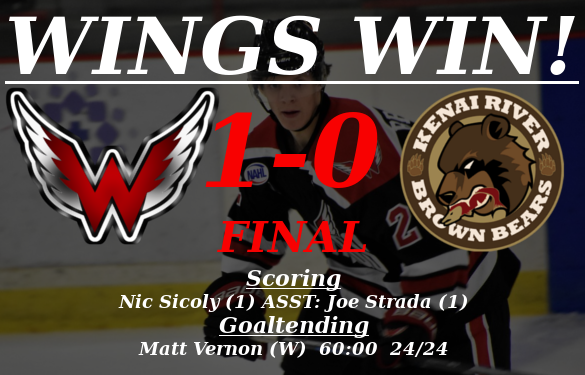 Wings WIN 1-0!