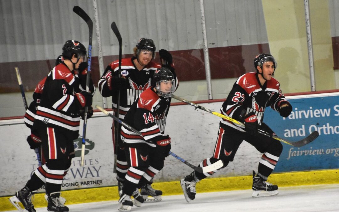 Wings Use Special Teams in 4-1 Win Friday!