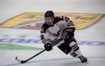 Wings Open 2019 With 7-3 Home Win Over Brookings!