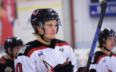 Wings Fall Thursday 3-2