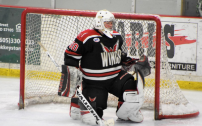 Wings Lock Up Post Season Spot with 3-1 Win Friday!